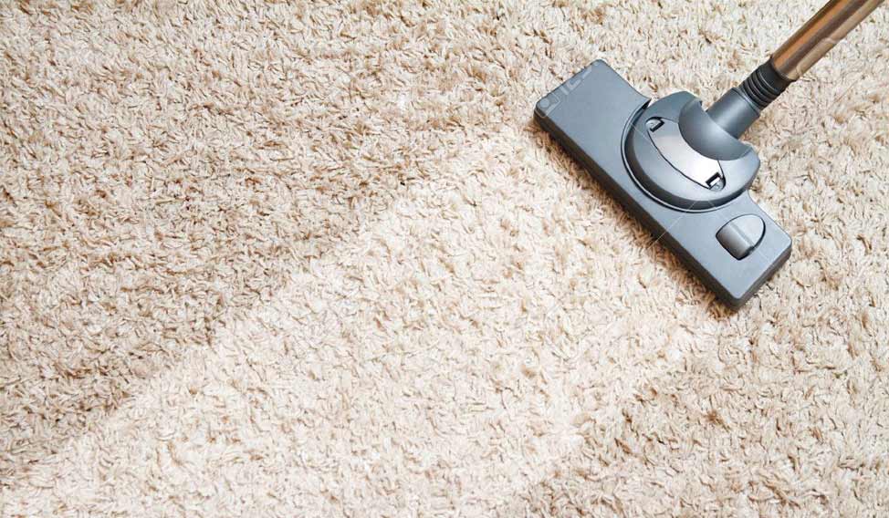 Revitalize Your Home: Expert Carpet Cleaning Solutions